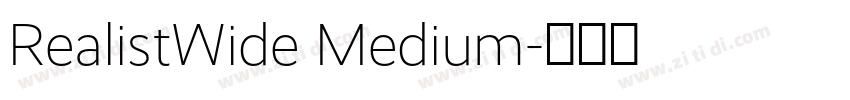 RealistWide Medium字体转换